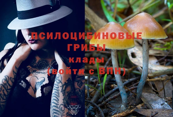 сатива Верхний Тагил