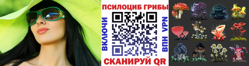 blacksprut зеркало  Новокубанск  Псилоцибиновые грибы Cubensis  магазин продажи  